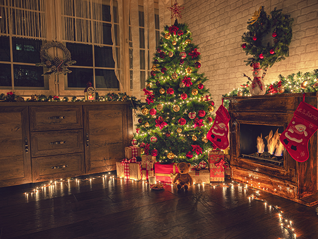 出張ケータリングクリスマスビュッフェパーティープラン #2